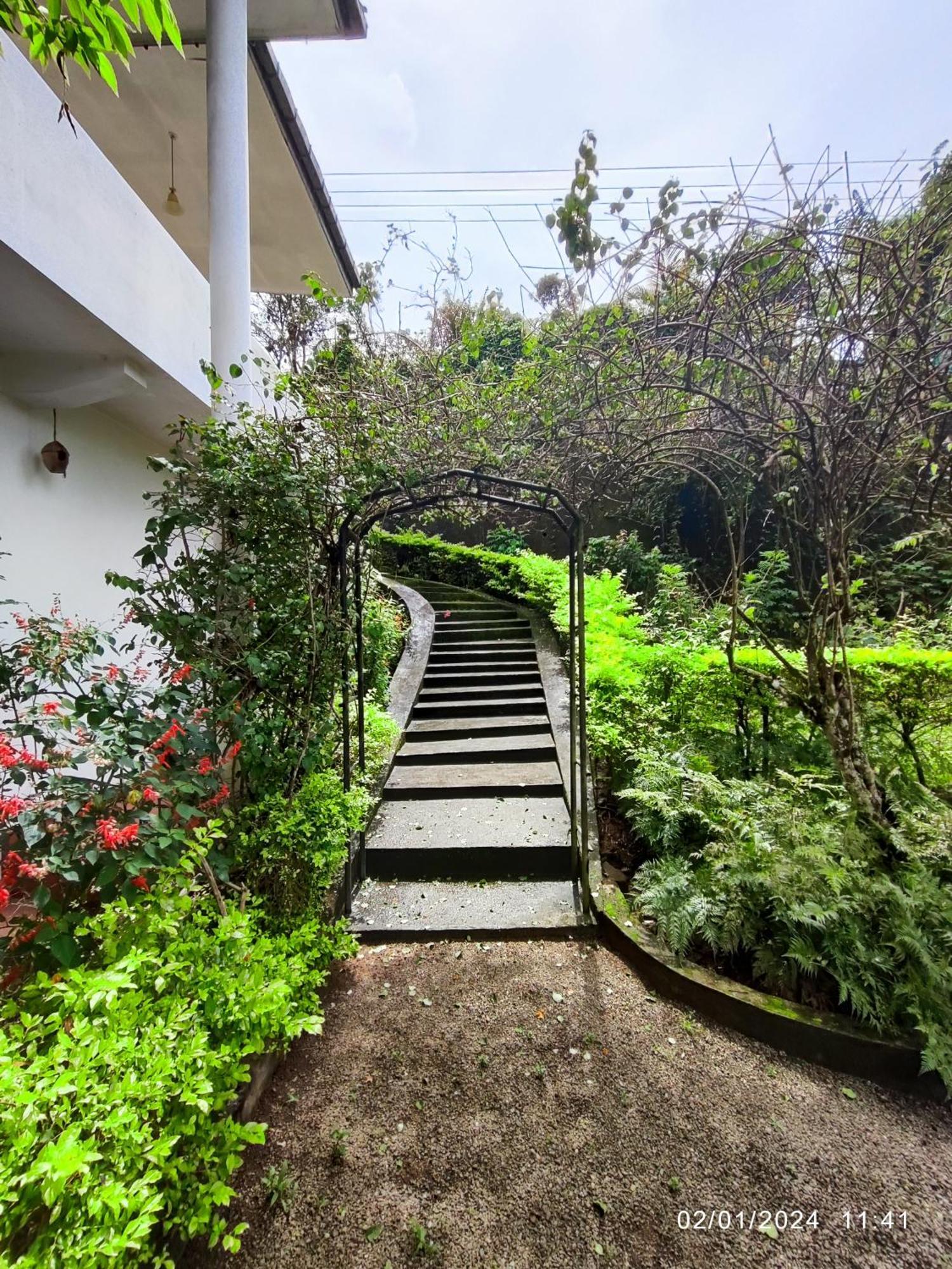 Spring Shannon Heritage 迪耶特拉沃 外观 照片